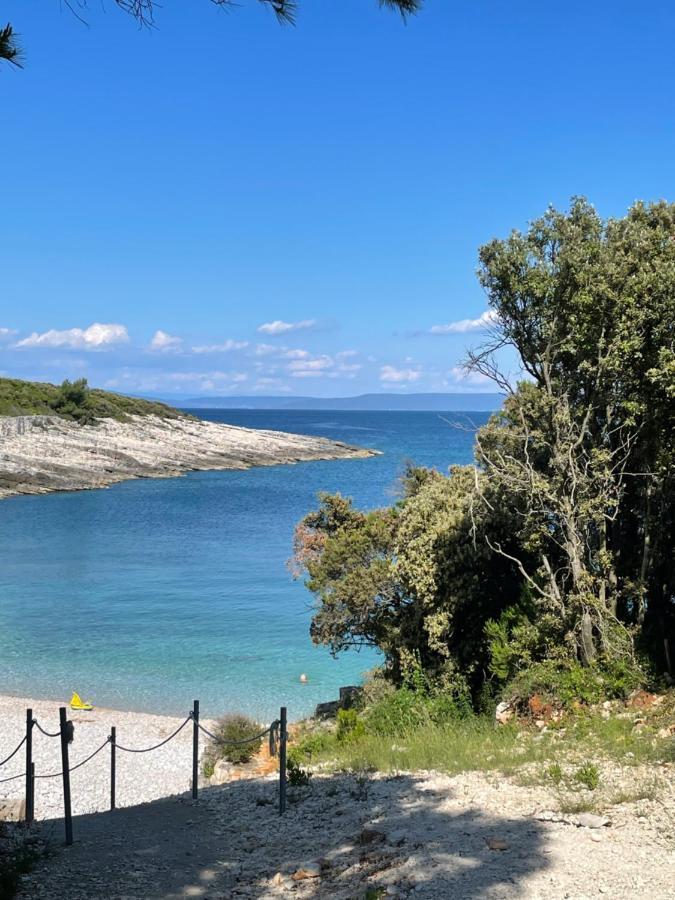 Moderne Istrische Steinvilla - 4 Sterne Mit Privatem, Beheizbaren Pool & Meerblick Kavran Dış mekan fotoğraf